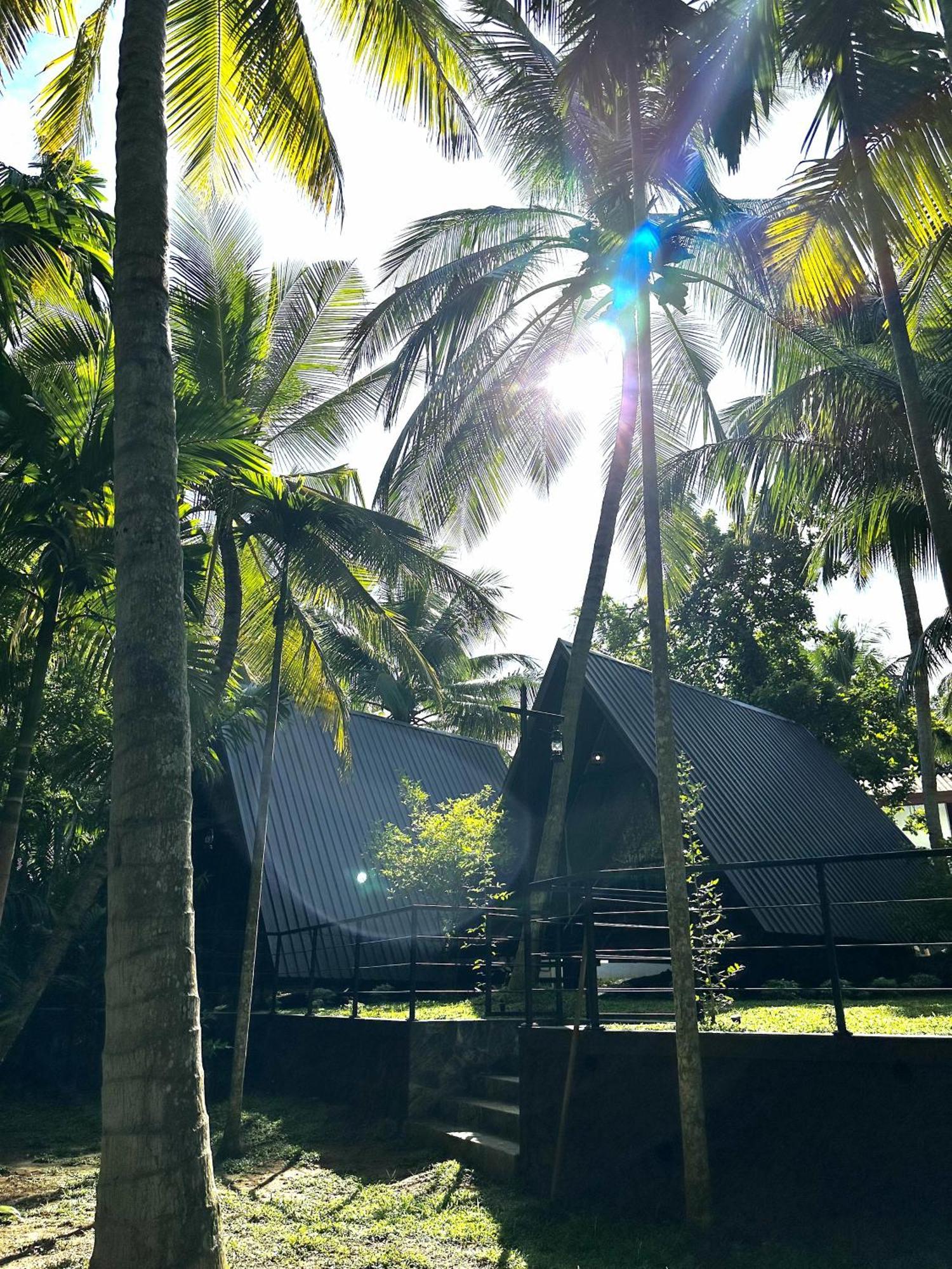 Rustic Cottages Udawalawe Exterior foto